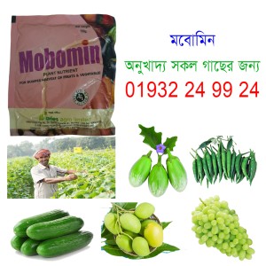 Mobomin | mobomin price in bd